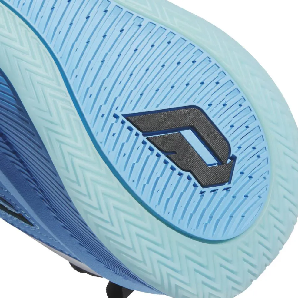 Men's Dame Certified Basketball Trainers