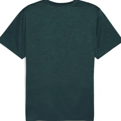 Men's Heather Cat Short Sleeve Performance Gym Top