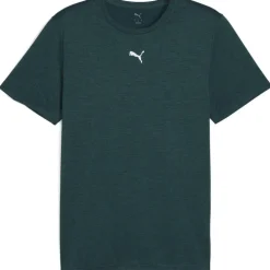 Men's Heather Cat Short Sleeve Performance Gym Top