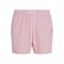 Men's Ithaca Stripe Medium Length Drawstring Swim Shorts