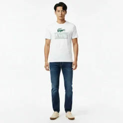 Men's Low-Top Trainers