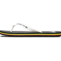 Men's Molokai Flip Flops