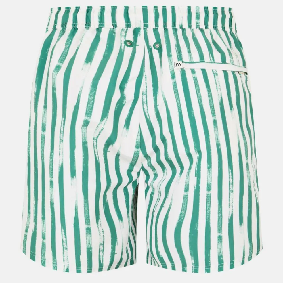 Men's Stripe Swim Shorts