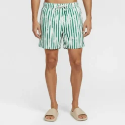 Men's Stripe Swim Shorts