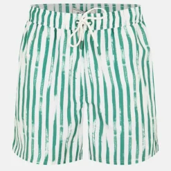 Men's Stripe Swim Shorts