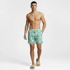 Men's Stripe Swim Shorts