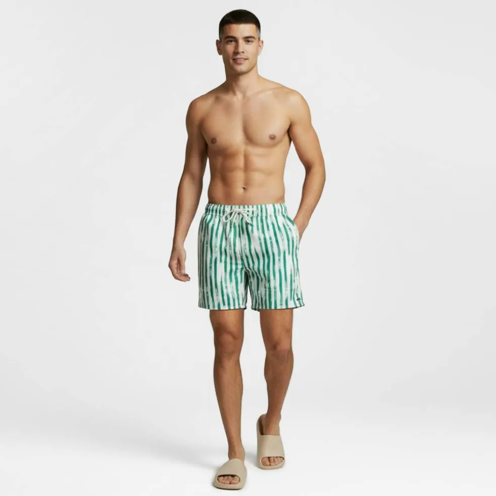Men's Stripe Swim Shorts