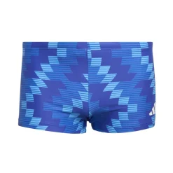 Men's Swimming Trunks