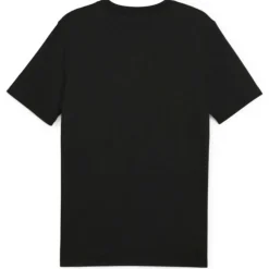 Men's Teamfinal Casuals Regular Fit T-Shirt
