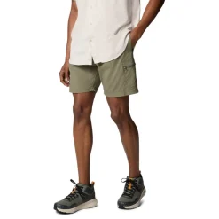 Men's Walking Shorts