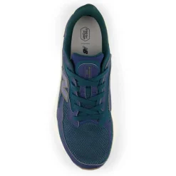 NB Fresh Foam Arishi v4 Running Shoes Mens