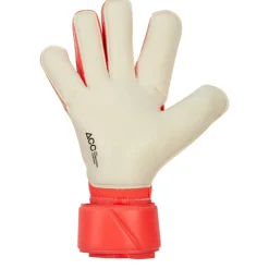 Nike GK VG3 - HO24 52