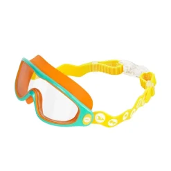 Panorama Training Goggles