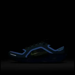 Pegasus 41 Gore-Tex Men's Waterproof Road Running Shoes Mens