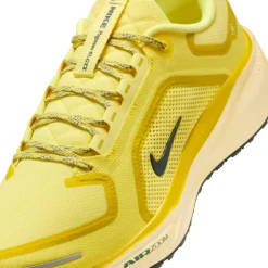 Pegasus 41 Gore-Tex Men's Waterproof Road Running Shoes Mens