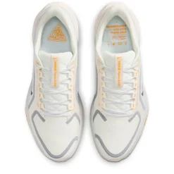 Pegasus 41 Gore-Tex Men's Waterproof Road Running Shoes Mens