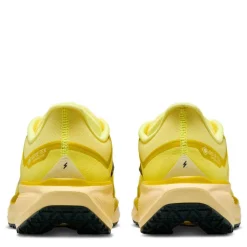 Pegasus 41 Gore-Tex Men's Waterproof Road Running Shoes Mens