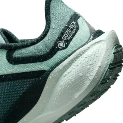 Pegasus 41 Gore-Tex Women's Waterproof Road Running Shoes Womens