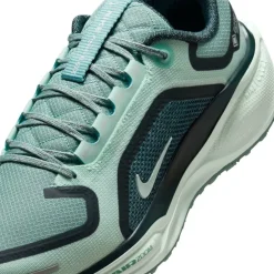 Pegasus 41 Gore-Tex Women's Waterproof Road Running Shoes Womens