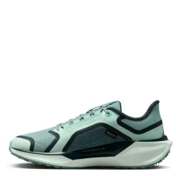 Pegasus 41 Gore-Tex Women's Waterproof Road Running Shoes Womens