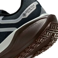 Pegasus 41 Gore-Tex Women's Waterproof Road Running Shoes Womens