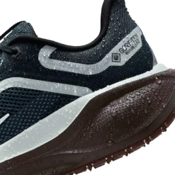 Pegasus 41 Gore-Tex Women's Waterproof Road Running Shoes Womens