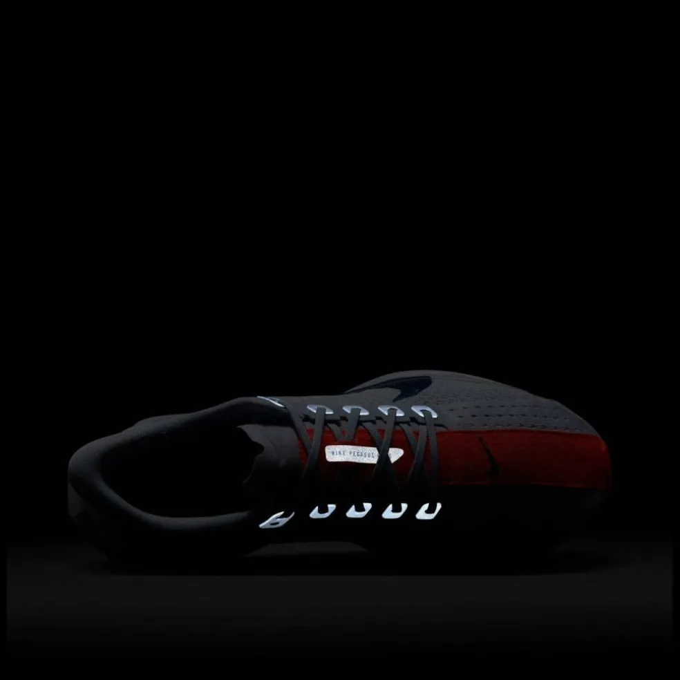 Pegasus Plus Womens Running Shoes