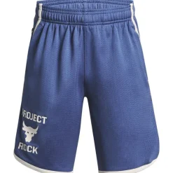 Performance Rock Mesh Gym Shorts