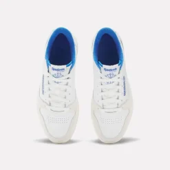 Phase Court Trainers