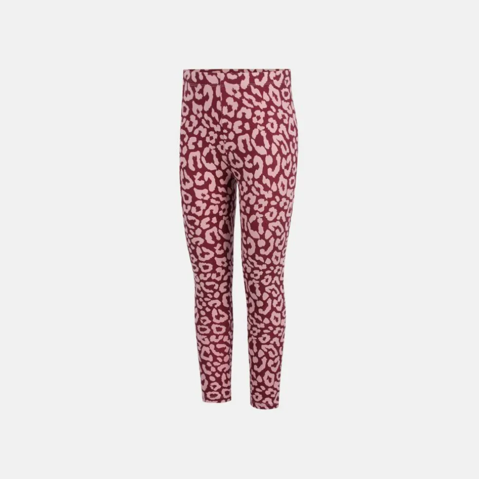 5Pk Leggings In62