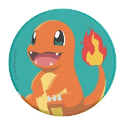 Pokémon Charmander Knocked