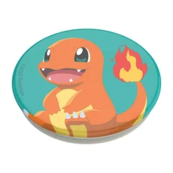 Pokémon Charmander Knocked