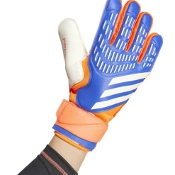 Predator Match Goalkeeper Gloves