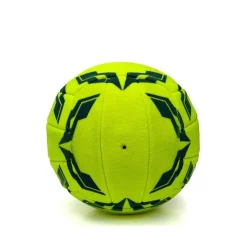 Pro Indoor Football