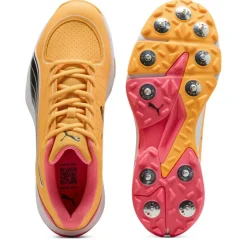 Puma Spike 24.2 Cricket Spikes Mens