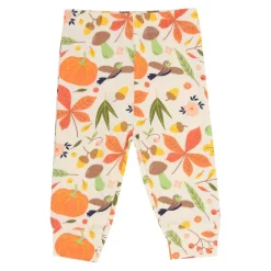 Pumpkin Flip Top and Legging Set