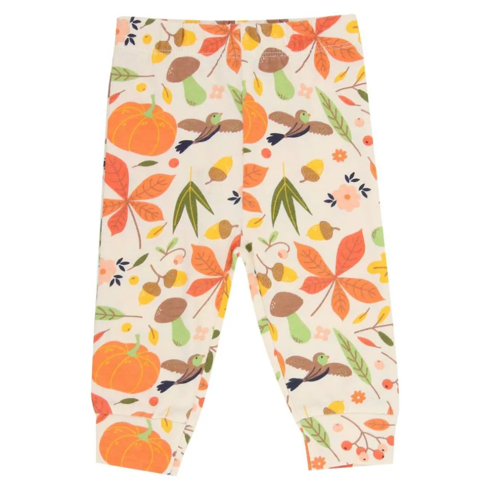 Pumpkin Flip Top and Legging Set