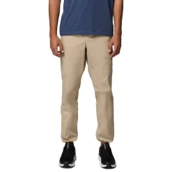 Rapid Cargo Trousers Mens