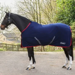 Rastrick Fleece Horse Rug