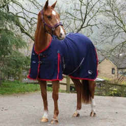 Rastrick Multipurpose Horse Rug
