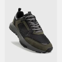 Rayado Trainers