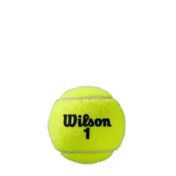 Roland Garros All Ct 4ball 2pk Tennis Ball Unisex Adults