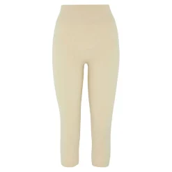 Seamless Ribbed Legging