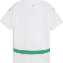 Senegal Home Shirt 2025 Juniors