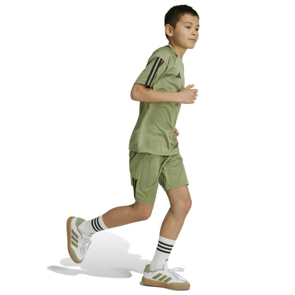 Sereno Training Shorts Juniors
