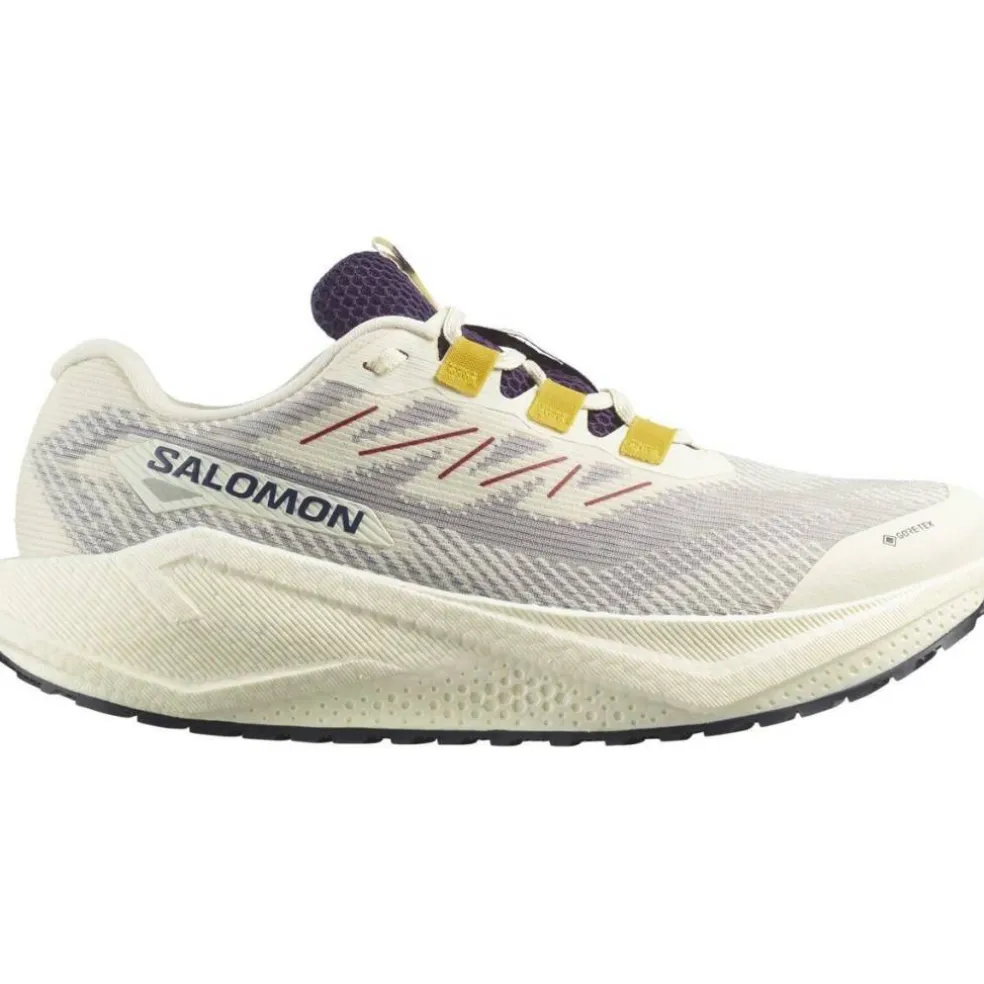 Shoes Aero Blaze 3 Grvl Gtx Vanila/Astra Trail Running Mens