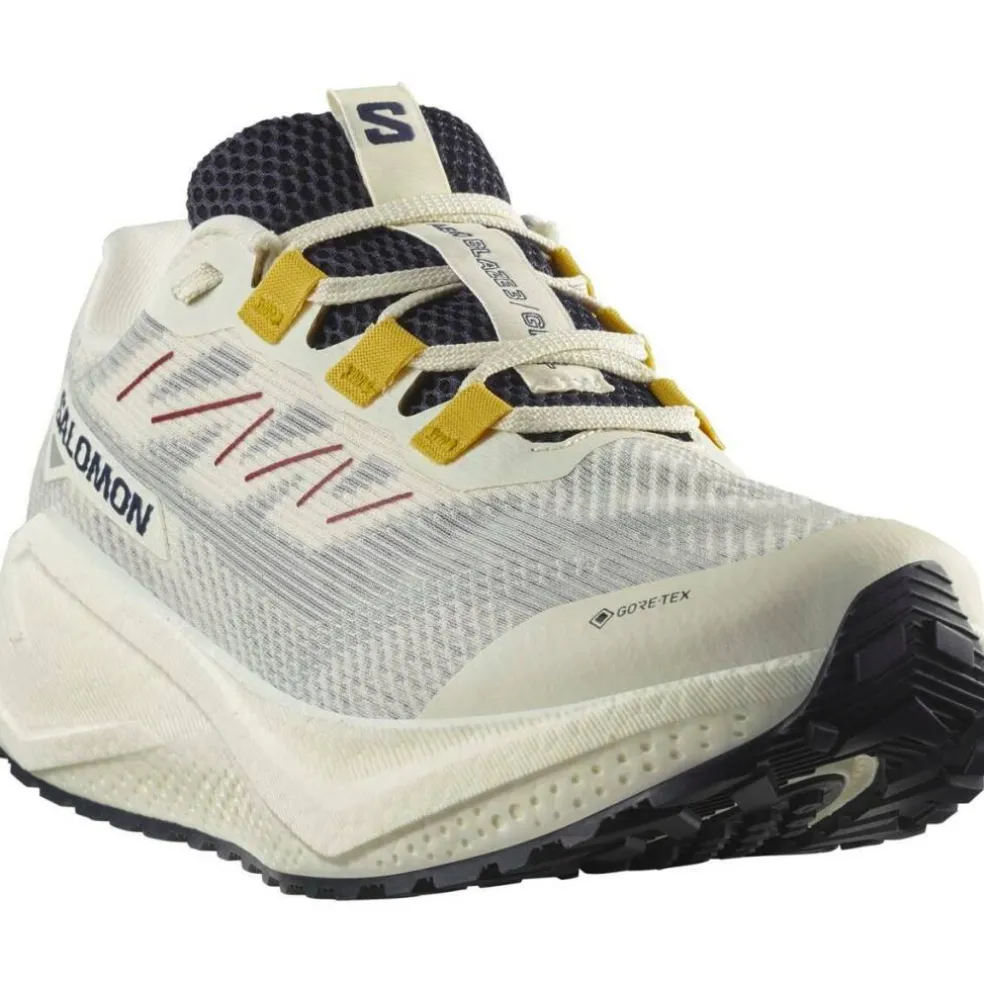Shoes Aero Blaze 3 Grvl Gtx Vanila/Astra Trail Running Mens