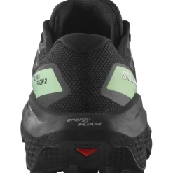 Shoes Ultra Flow 2 Gtx Black/Black/Patin Trail Running Mens