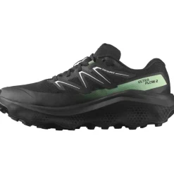 Shoes Ultra Flow 2 Gtx Black/Black/Patin Trail Running Mens