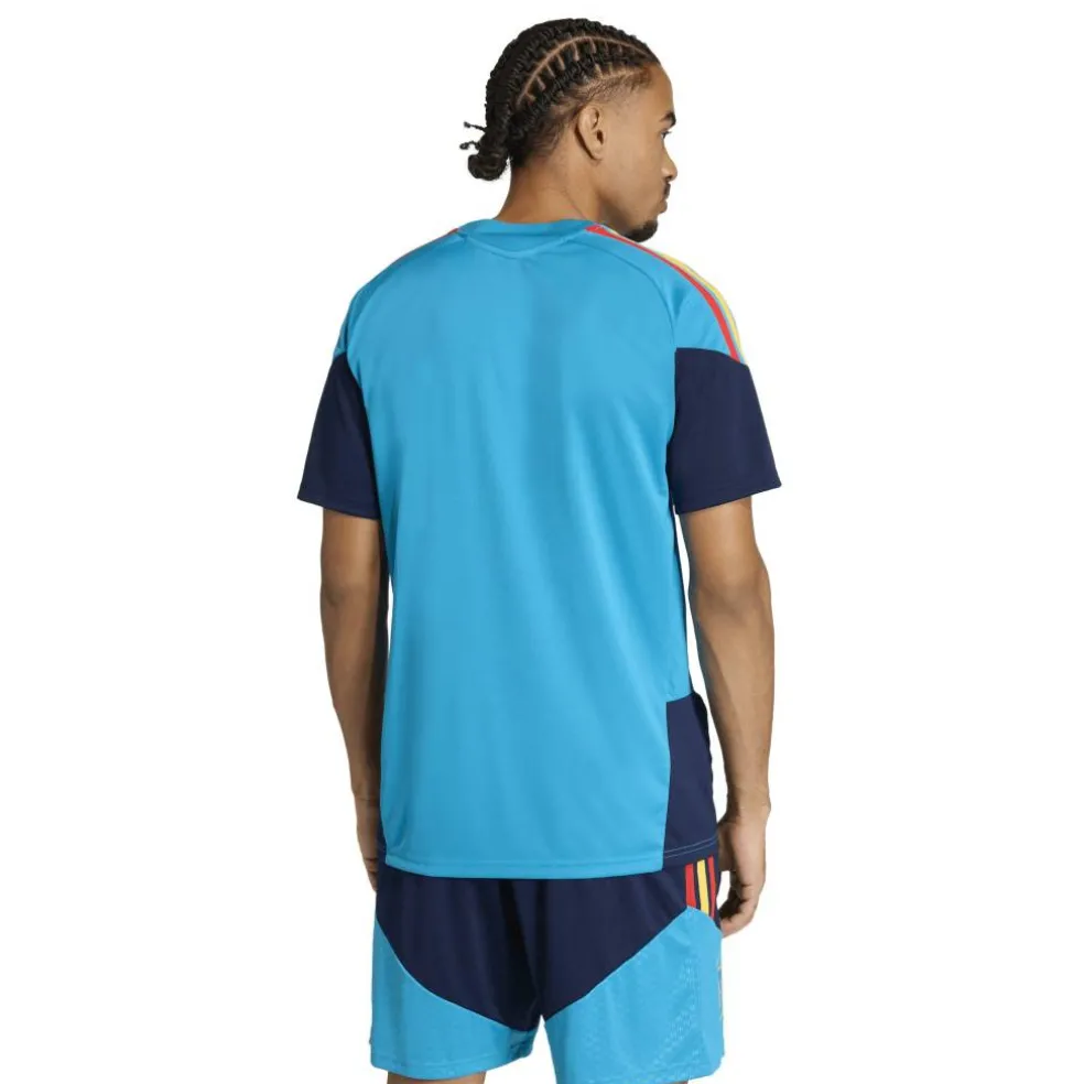 Spain World Cup Training Shirt 2026 Mens